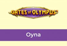 Gates of Olympus Oyna